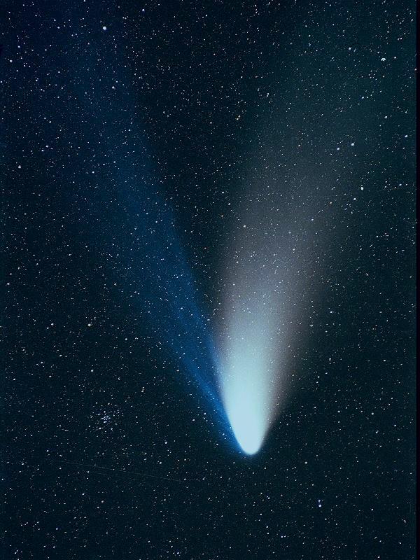 haleb2.jpg (98041 bytes)