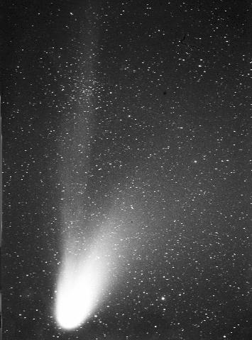 hb200297.jpg (32204 bytes)