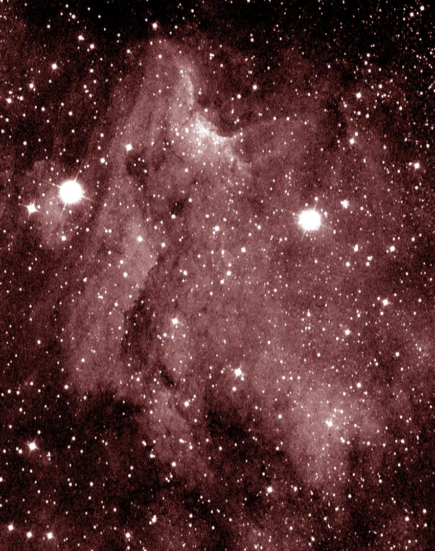 pelica1.jpg (227805 bytes)